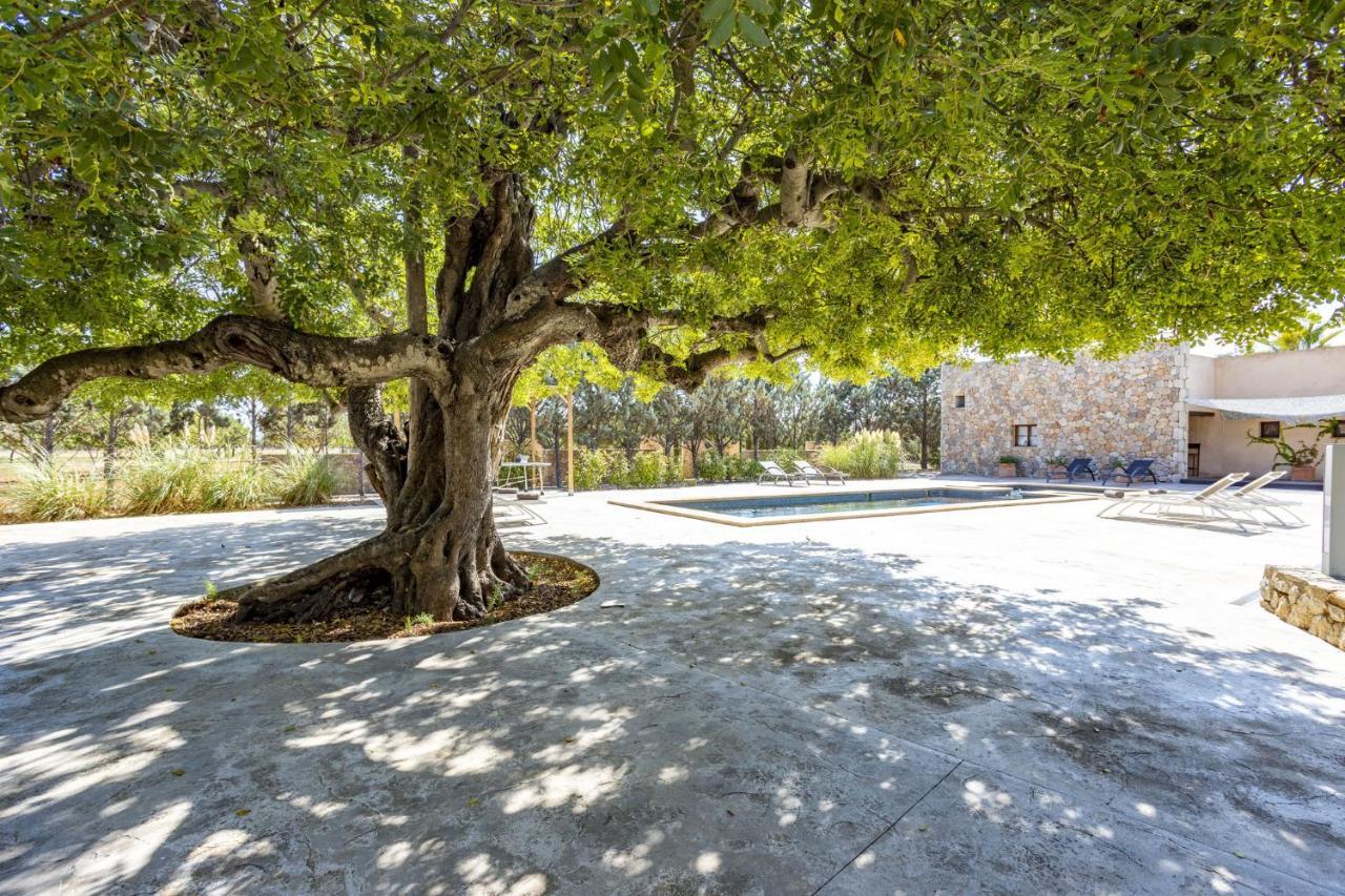 Villa Es Triquet Family Binissalem Exterior foto